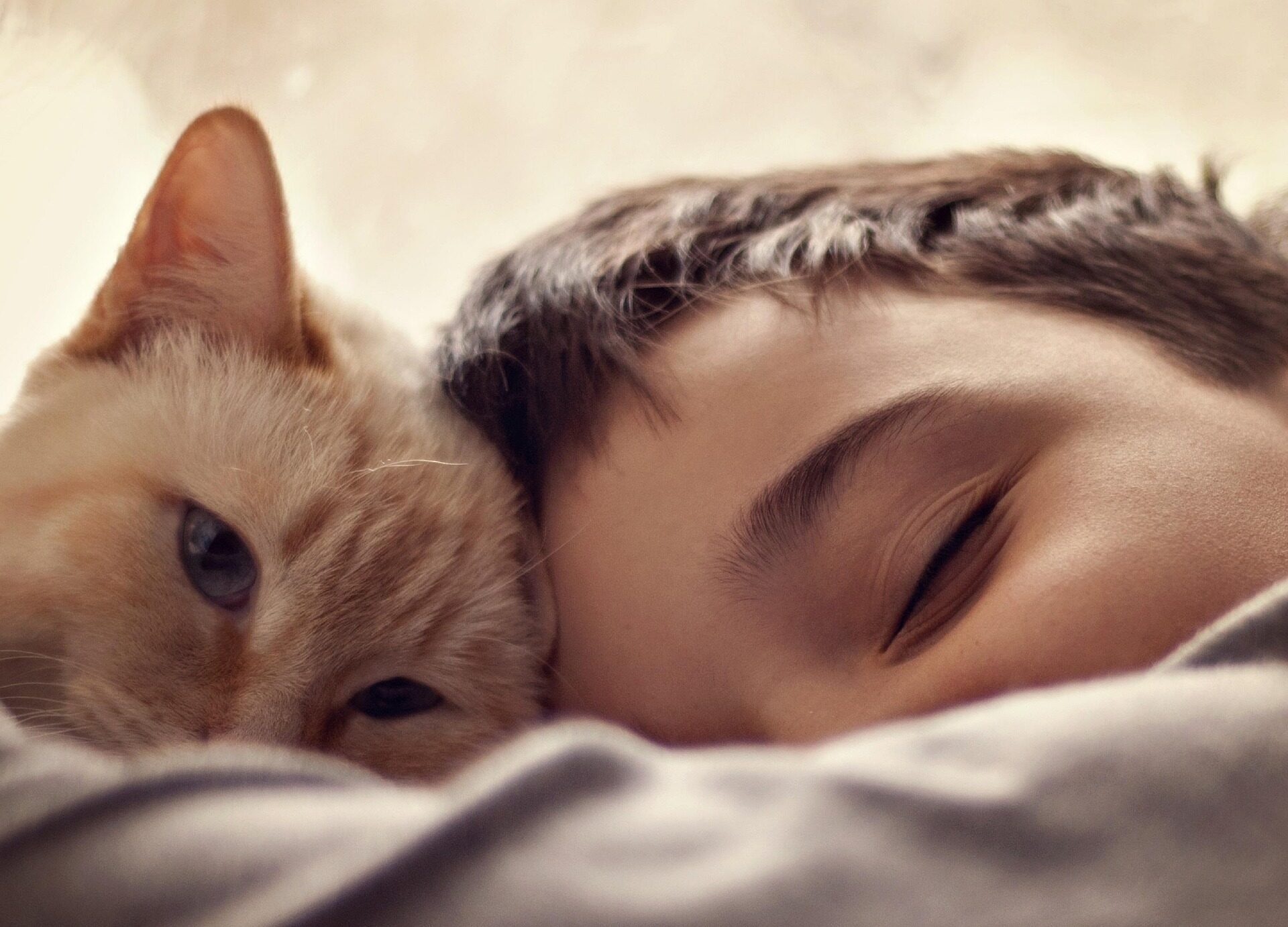 Jangan Salah Pilih! Ini 6 Hewan Peliharaan yang Aman & Edukatif untuk Anak