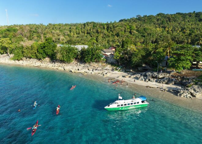Wanadri Women Divers Tanam 2.500 Terumbu Karang untuk Pulihkan Ekosistem Laut Pulau Buru
