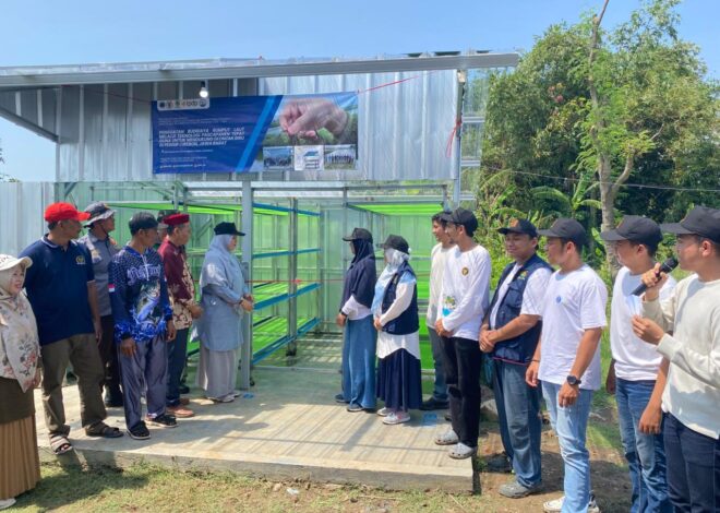 Keren! ITB Ciptakan Oven Tenaga Surya untuk Rumput Laut, Petani Cirebon Kini Lebih Untung