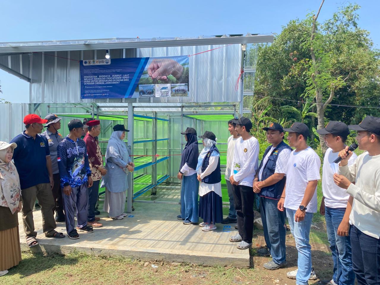 Keren! ITB Ciptakan Oven Tenaga Surya untuk Rumput Laut, Petani Cirebon Kini Lebih Untung