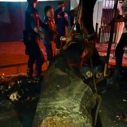 Sapi Kurban Terjatuh ke Lubang Sedalam 3 Meter di Cileungsi, Damkar Bergerak Tengah Malam