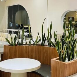 Cari Tempat Nongkrong Estetik di Cirebon? Stone Hand Coffee Jawabannya