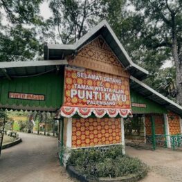 Healing di Tengah Kota, Nikmati Sejuknya Hutan Pinus Puntikayu Palembang