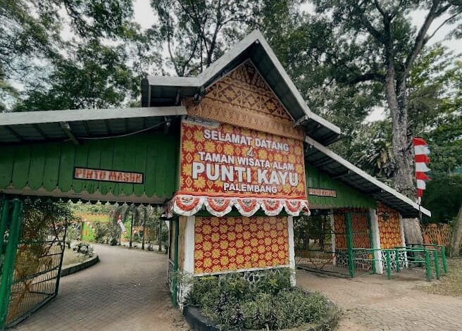 Healing di Tengah Kota, Nikmati Sejuknya Hutan Pinus Puntikayu Palembang