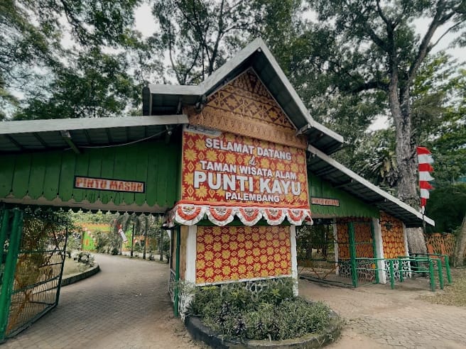 Healing di Tengah Kota, Nikmati Sejuknya Hutan Pinus Puntikayu Palembang