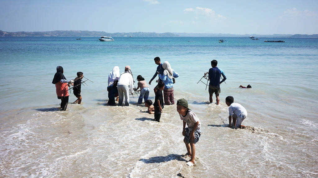 Peringati Hari Laut Sedunia, Innit Lombok dan Indonesia Biru Foundation Restorasi Terumbu Karang di Teluk Ekas