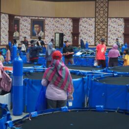 Bogor Koi Show 2026 Perkuat Posisi Kabupaten Bogor sebagai Sentra Ikan Koi Nasional