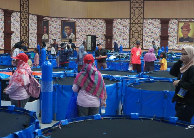 Bogor Koi Show 2026 Perkuat Posisi Kabupaten Bogor sebagai Sentra Ikan Koi Nasional