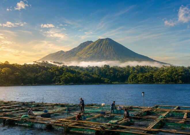 Fenomena Koyo Kembali Terjadi di Ranu Klakah, Ikan Nila dan Udang Bermunculan ke Permukaan