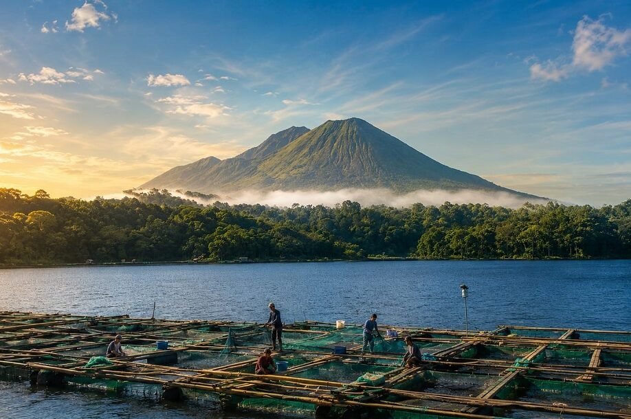 Fenomena Koyo Kembali Terjadi di Ranu Klakah, Ikan Nila dan Udang Bermunculan ke Permukaan