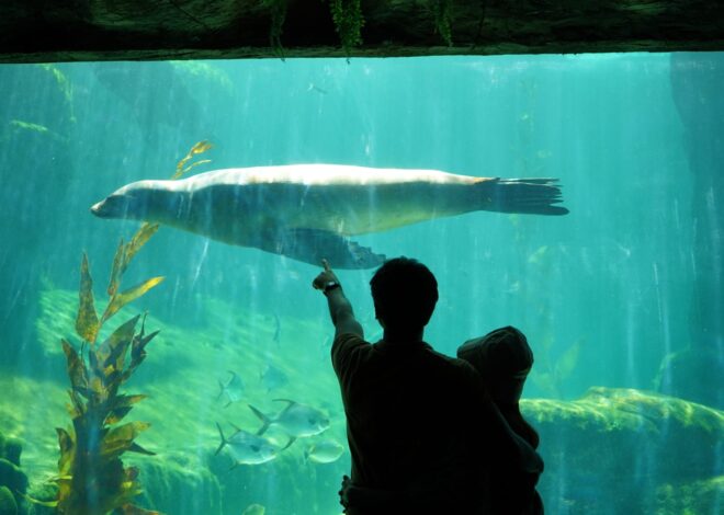 Marine Safari Bali Jadi Destinasi Liburan Sekolah yang Memadukan Wisata, Edukasi, dan Konservasi