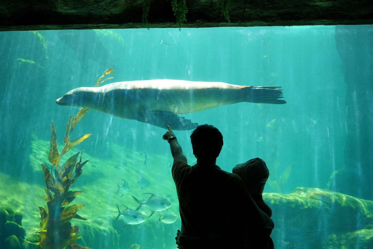 Marine Safari Bali Jadi Destinasi Liburan Sekolah yang Memadukan Wisata, Edukasi, dan Konservasi