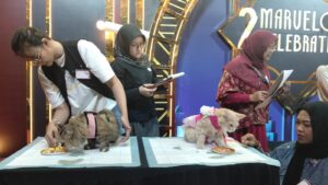 PAWFORIA 2026 Jadi Ruang Edukasi dan Silaturahmi Pecinta Anabul, Hadirkan Lomba Seru hingga Konsultasi Dokter Hewan