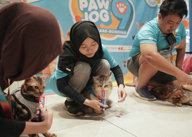 PAWJOG 9 Hadir di Kota Wisata Cibubur, PET KINGDOM Ajak Pawrents Nikmati Momen Seru Bersama Anabul