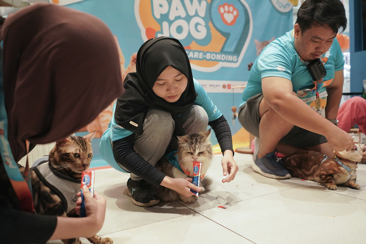 PAWJOG 9 Hadir di Kota Wisata Cibubur, PET KINGDOM Ajak Pawrents Nikmati Momen Seru Bersama Anabul