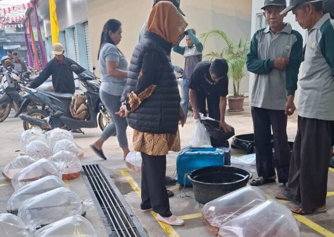Wajah Baru Pasar Benih Ikan Ciseeng, Lebih Bersih dan Nyaman untuk Pedagang serta Pembeli