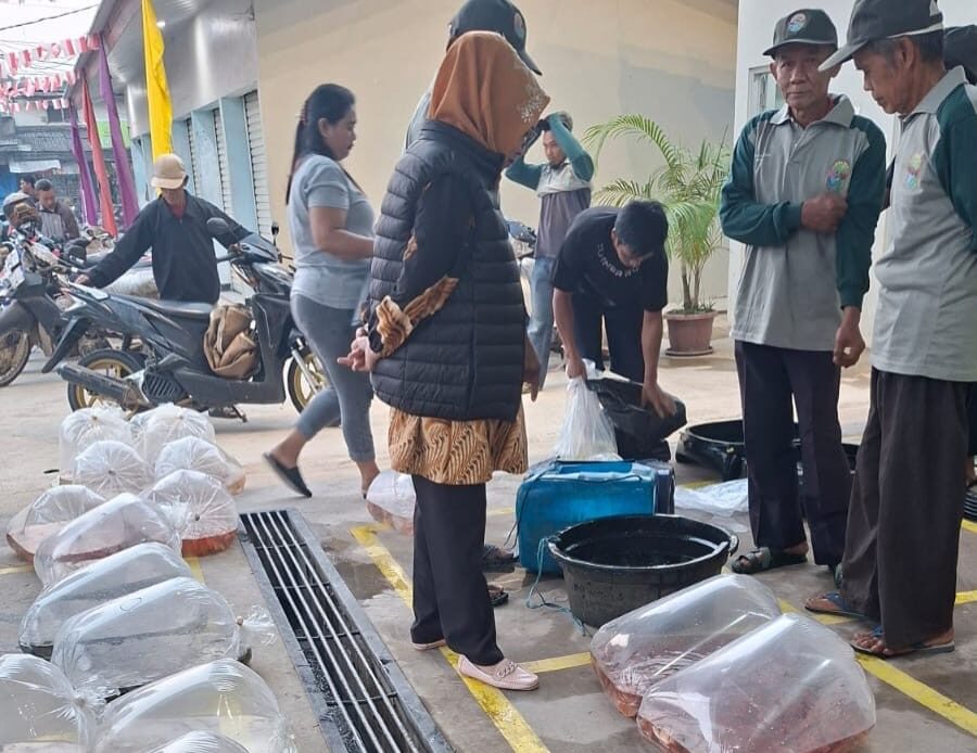 Wajah Baru Pasar Benih Ikan Ciseeng, Lebih Bersih dan Nyaman untuk Pedagang serta Pembeli