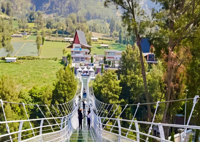 Jembatan Kaca Bromo di Seruni Point, Spot Wisata yang Bikin Deg-degan