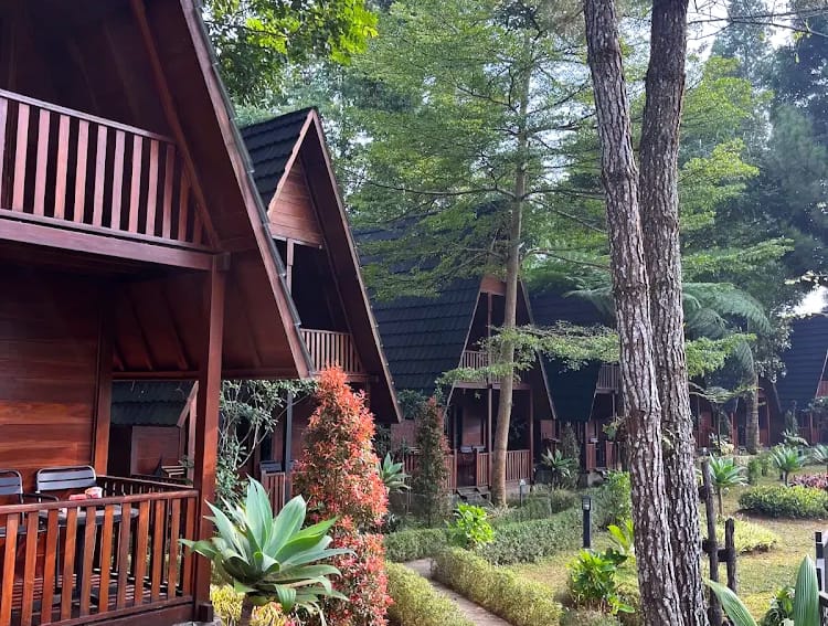 Camp de Katarina Megamendung, Pilihan Glamping untuk Rayakan Anniversary di Tengah Alam