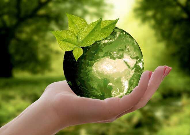 Cara Sederhana Menerapkan Gaya Hidup Zero Waste dalam Kehidupan Sehari-hari