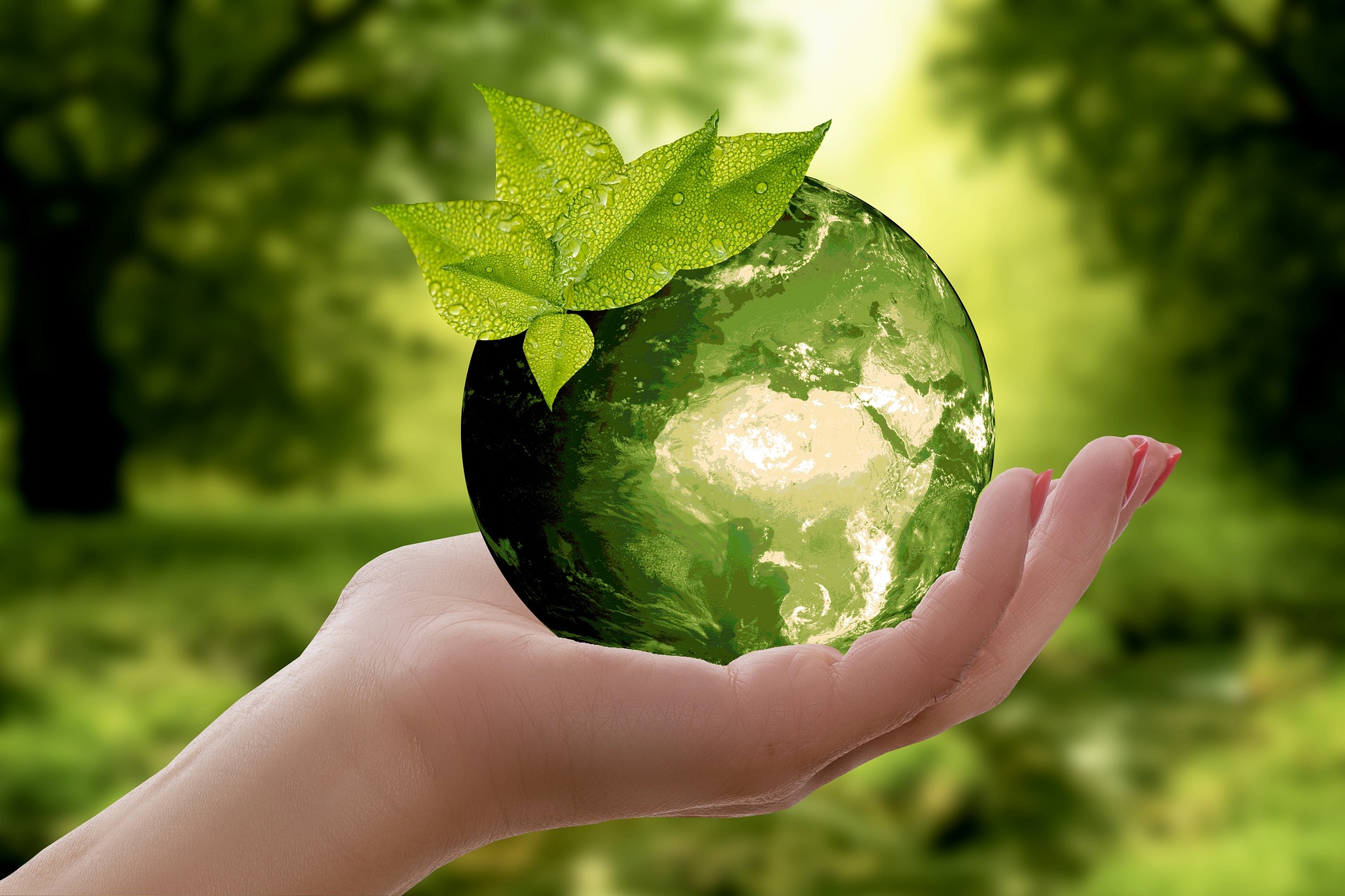 Cara Sederhana Menerapkan Gaya Hidup Zero Waste dalam Kehidupan Sehari-hari