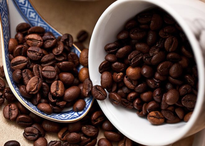 Kopi Robusta: Kenali Ciri, Rasa, Sejarah, hingga Cara Menikmatinya