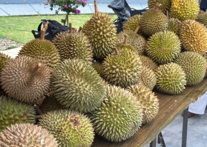 Festival Durian Bogor 2026, Saatnya Kenalkan Durian Lokal ke Pasar Lebih Luas