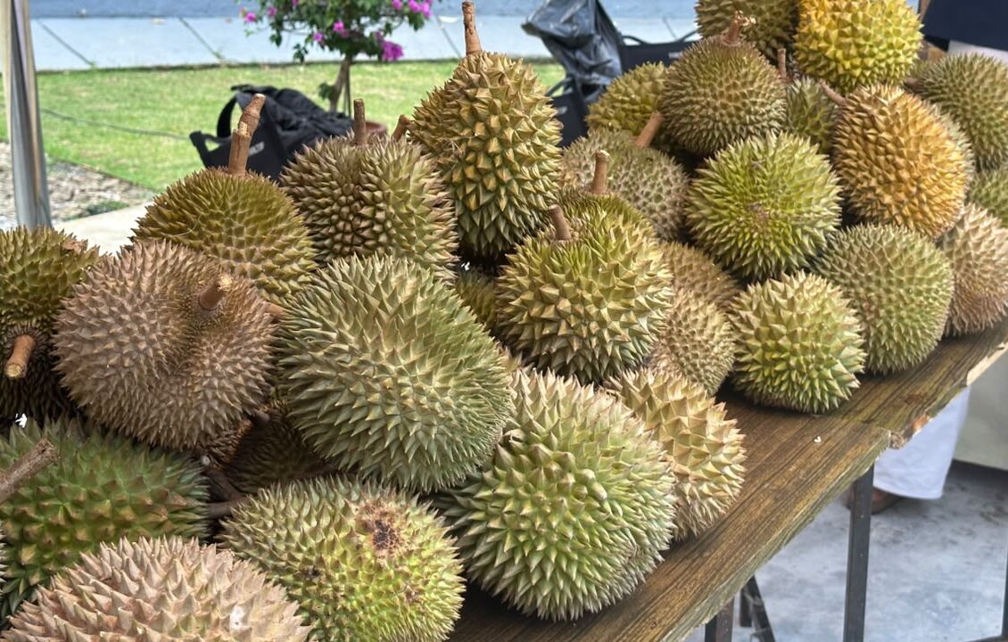 Festival Durian Bogor 2026, Saatnya Kenalkan Durian Lokal ke Pasar Lebih Luas
