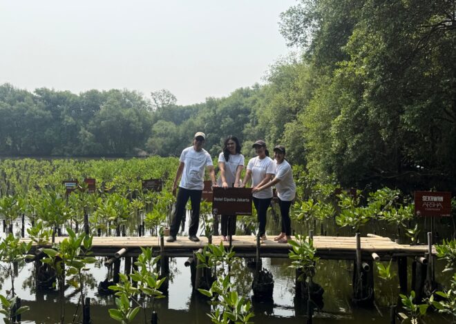 Rayakan Ulang Tahun ke-33, Hotel Ciputra Jakarta Tanam 33 Mangrove di PIK