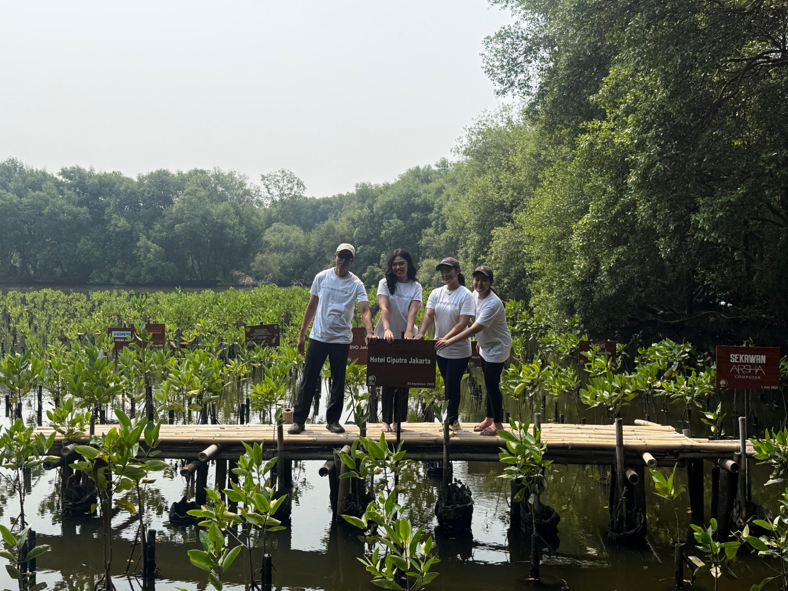 Rayakan Ulang Tahun ke-33, Hotel Ciputra Jakarta Tanam 33 Mangrove di PIK