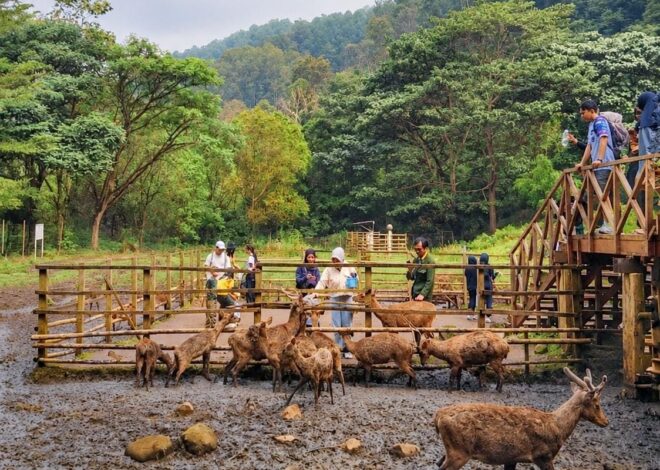 Liburan ke Bandung Makin Seru, de Braga by ARTOTEL Ajak Jelajah Braga hingga Tahura