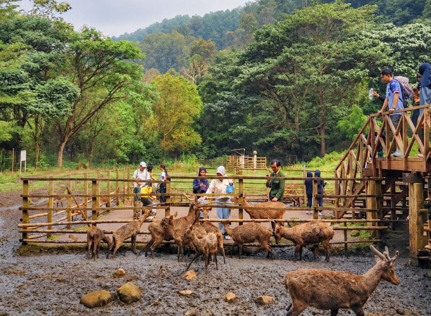 Liburan ke Bandung Makin Seru, de Braga by ARTOTEL Ajak Jelajah Braga hingga Tahura