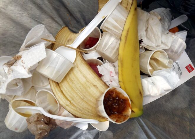 Jangan Langsung Dibuang, Ini 5 Ide Kreatif Daur Ulang Sampah Rumah Tangga