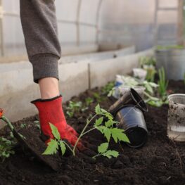 Tak Punya Halaman Luas? Ini Manfaat Berkebun yang Bisa Kamu Rasakan
