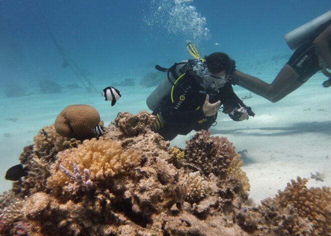 7 Surga Bawah Laut Indonesia yang Wajib Masuk Bucket List Traveler