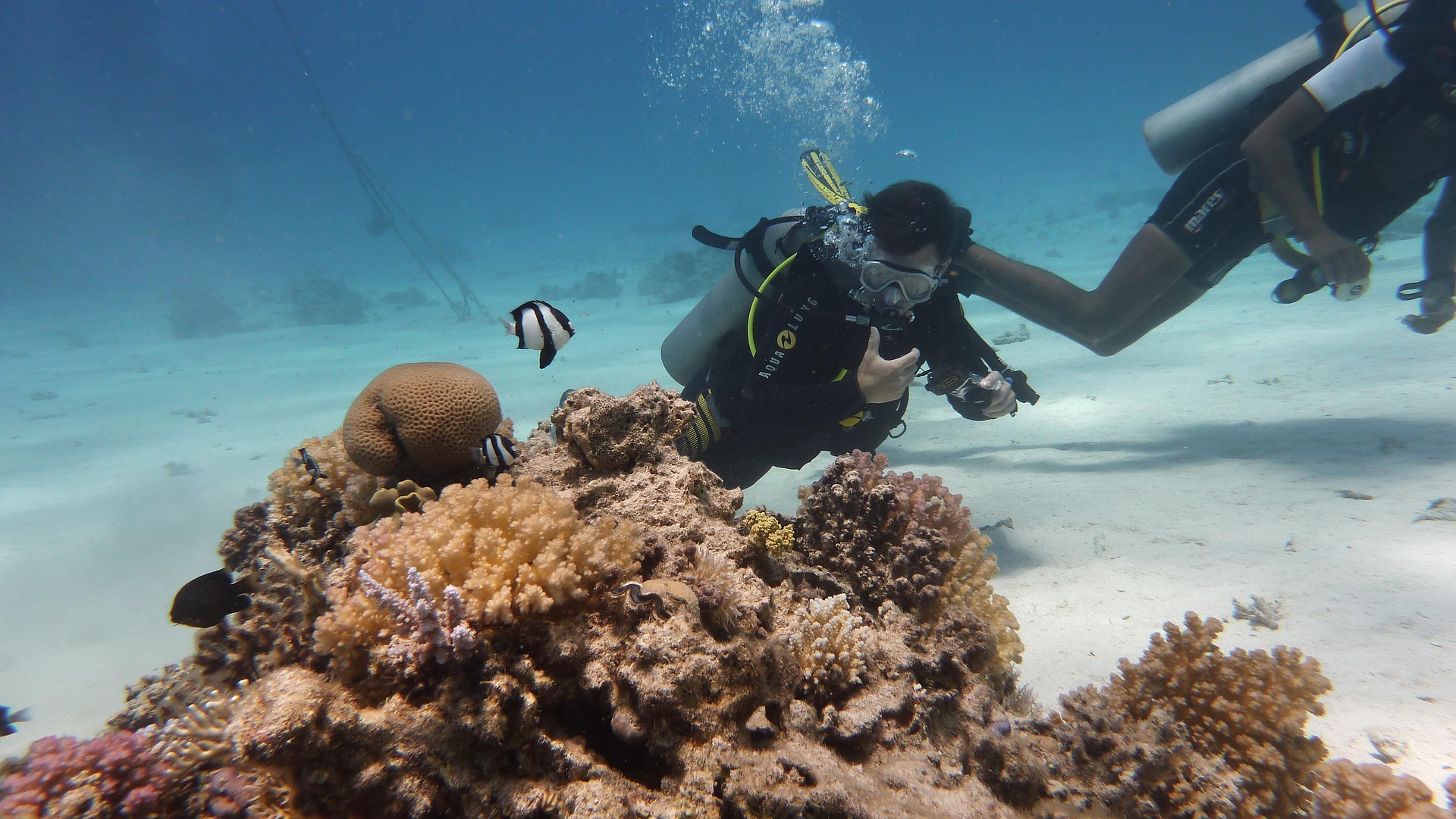 7 Surga Bawah Laut Indonesia yang Wajib Masuk Bucket List Traveler