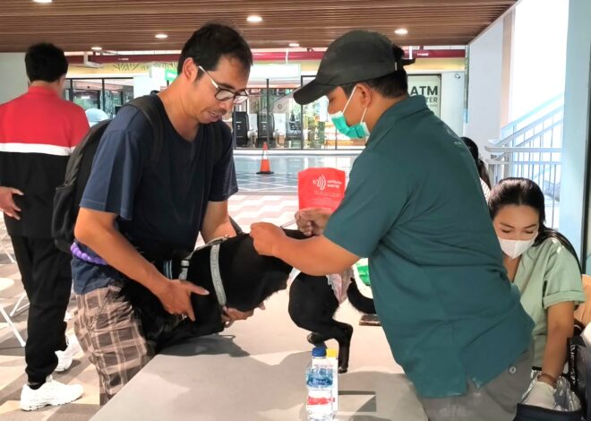 CARE FOR PAW 2026 Kembali Hadir, PET KINGDOM Ajak Masyarakat Berbagi untuk Anabul