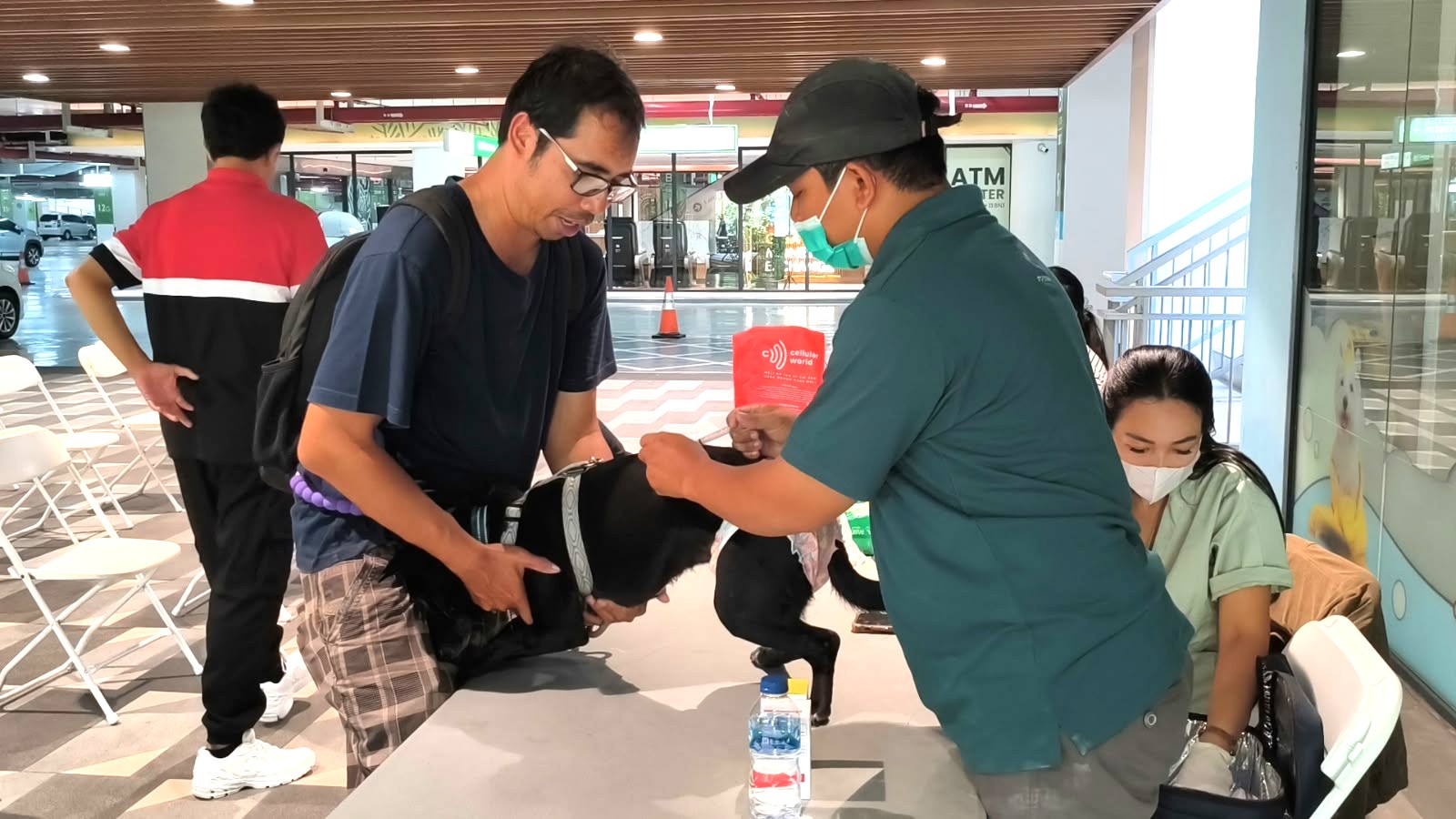 CARE FOR PAW 2026 Kembali Hadir, PET KINGDOM Ajak Masyarakat Berbagi untuk Anabul